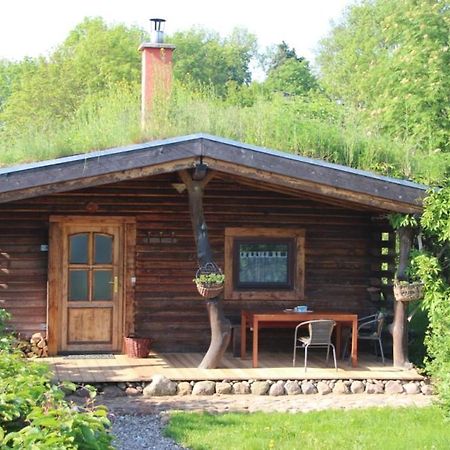 Blockhaus Zahren Villa Penzlin Bagian luar foto