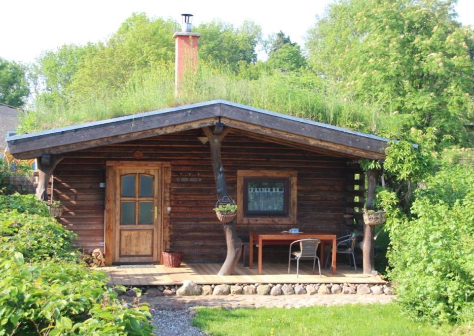 Blockhaus Zahren Villa Penzlin Bagian luar foto